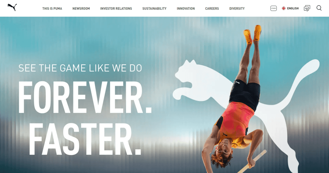 Puma Global Ecommerce